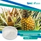 ananas powder
